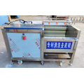 potato washing peeling cutting machine